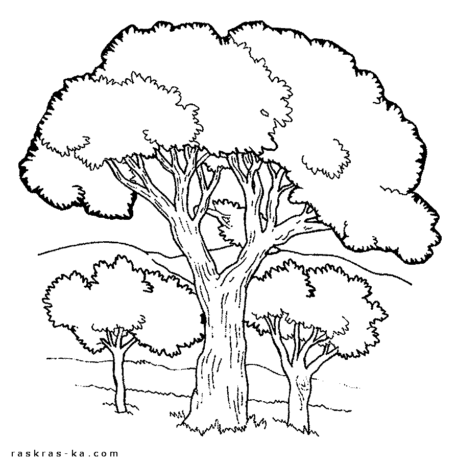 Раскрашивать деревья на холмах бесплатно