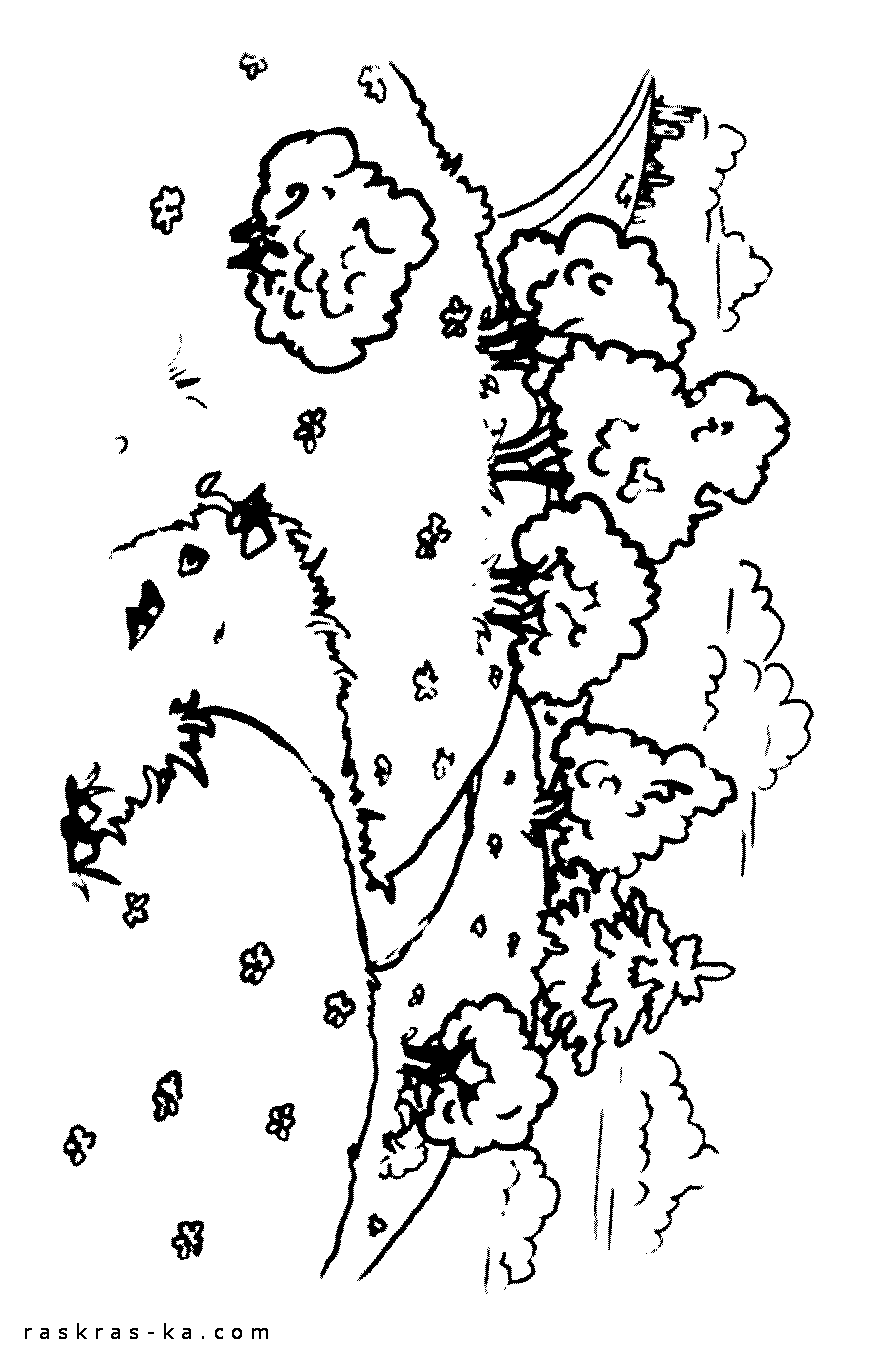 Летний пейзаж - раскраска о природе