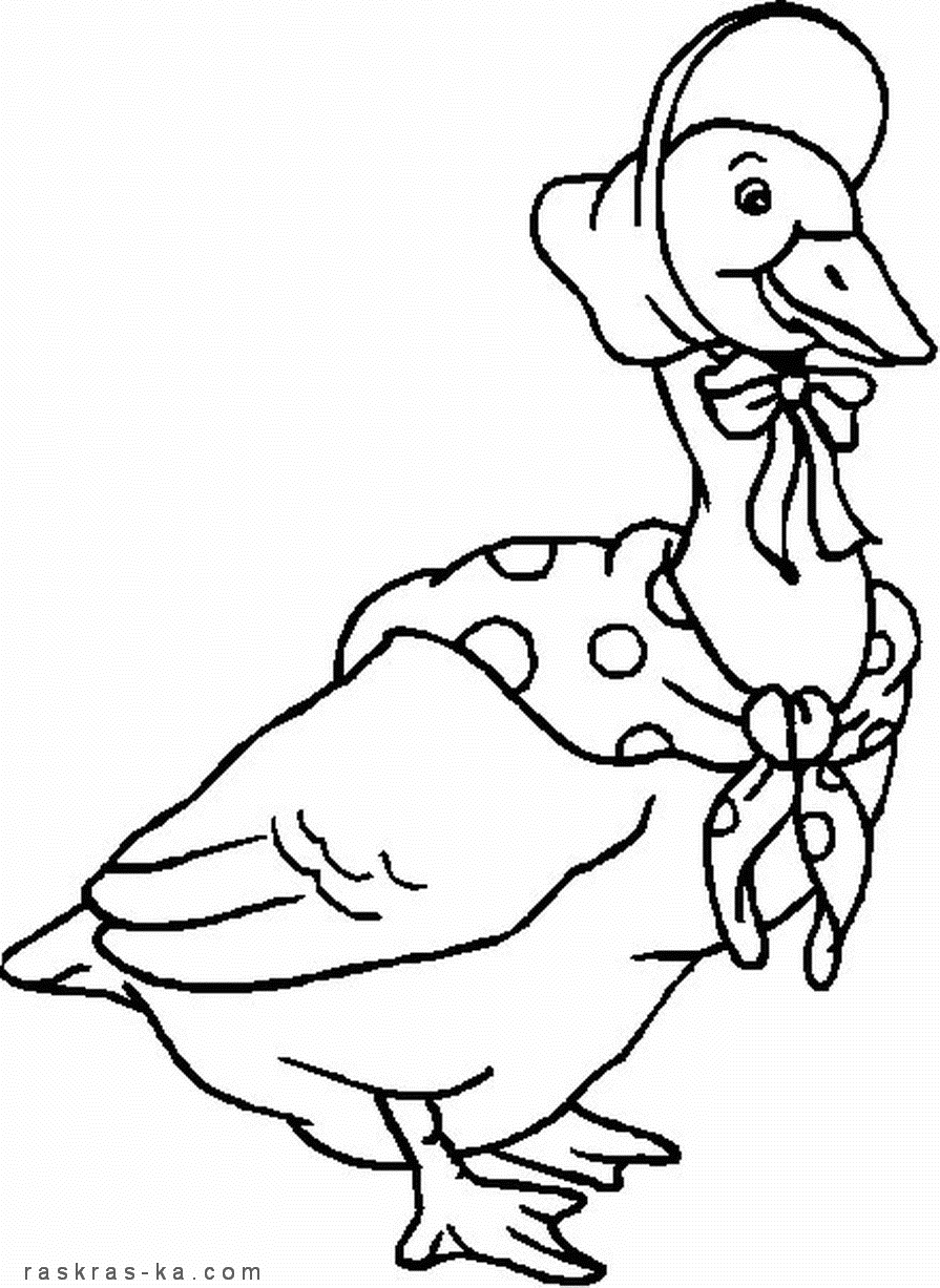 Скачать бесплатно раскраски для детей