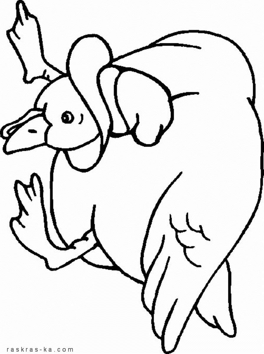 Раскраски про уток для детей