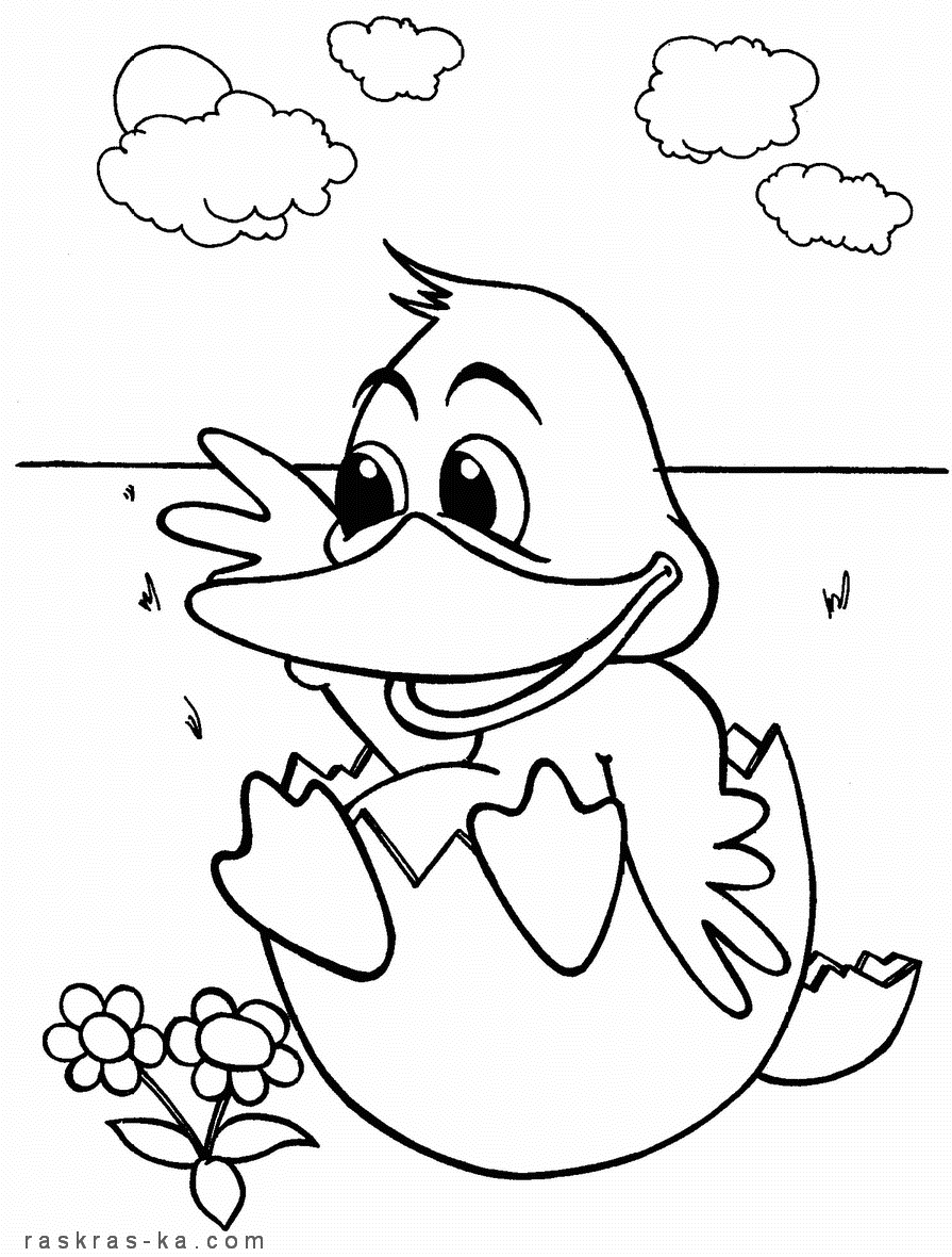 Раскраски утят. Скачать и распечатать