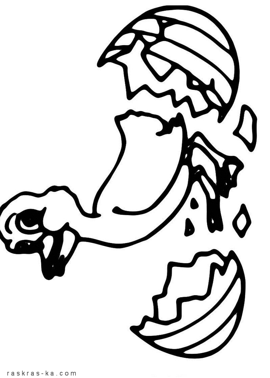 Рождение утенка - раскраска для детей