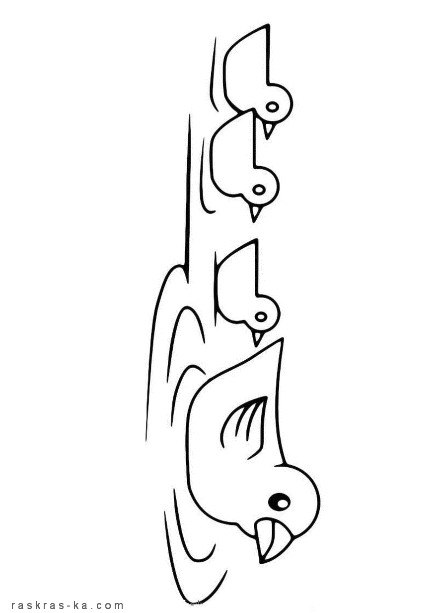 Раскраски для маленьких - утка с утятами