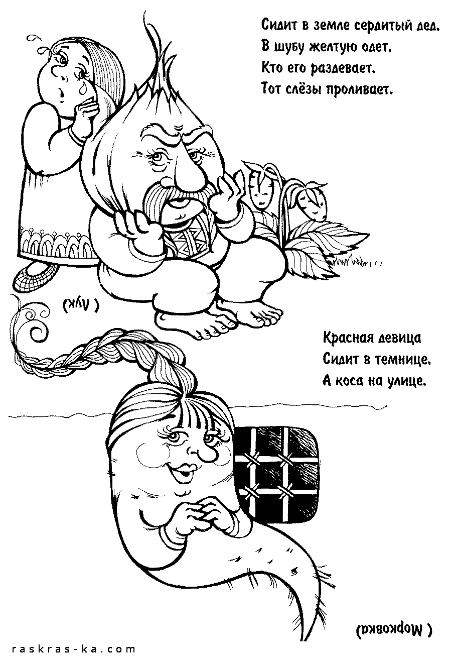 Загадки про овощи. Раскраска морковь и лук
