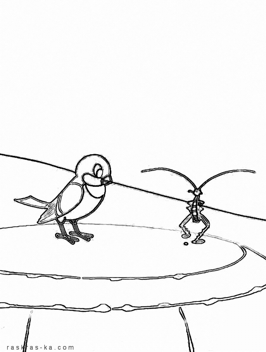 Воробей и таракан. Раскраска Чуковский