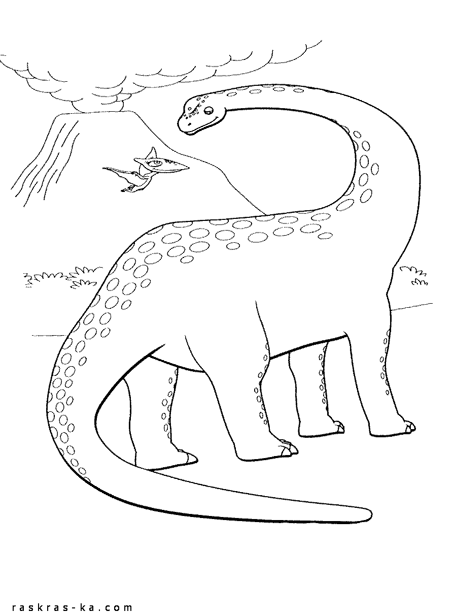 Огромные динозавры. Раскраски познавательные
