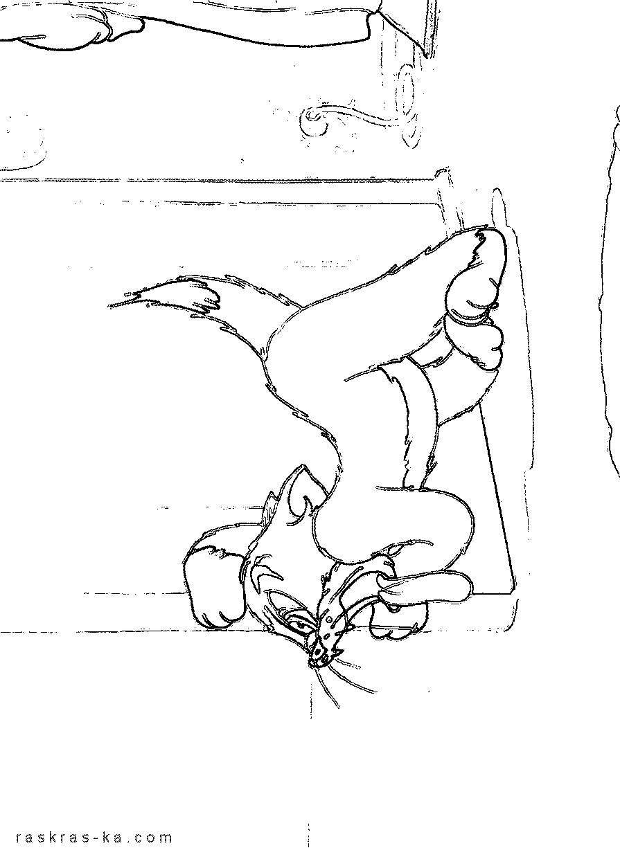 Tom and Jerry coloring pages for kids