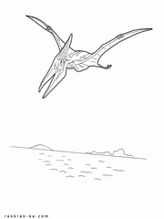 Раскраска птеранодон, распечатать летающего динозавра