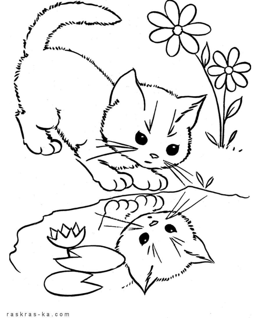 Котенок у озера. Раскраска