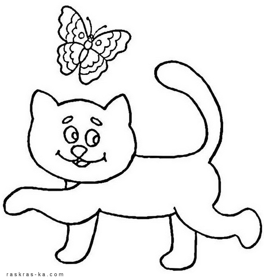 Котик и бабочка. Раскраска