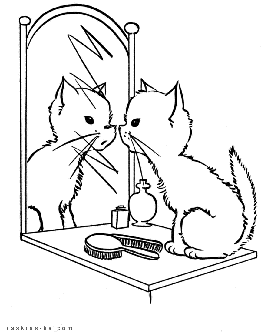 Котенок перед зеркалом. Раскраска