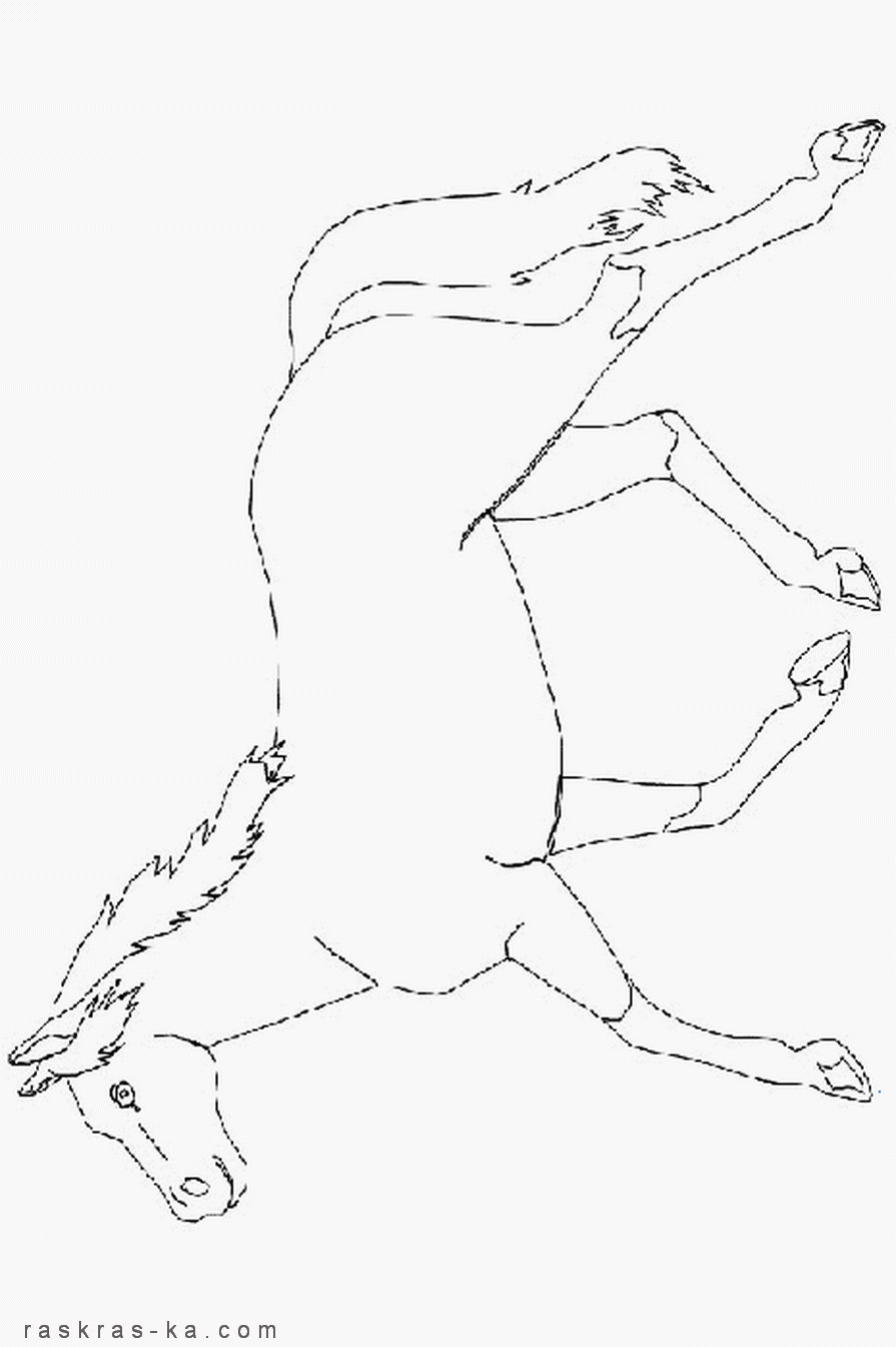 Раскраски красивых лошадей. Распечатать