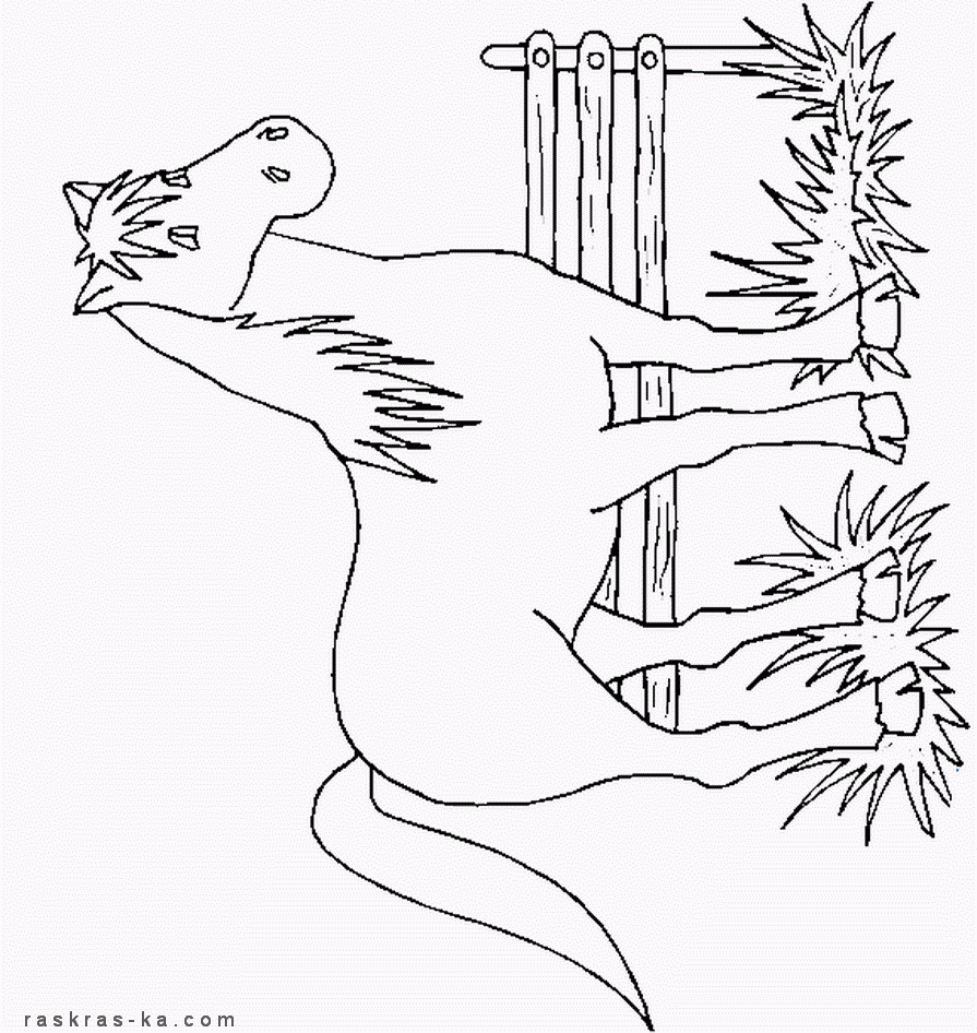 Лошадь на траве. Размалевка