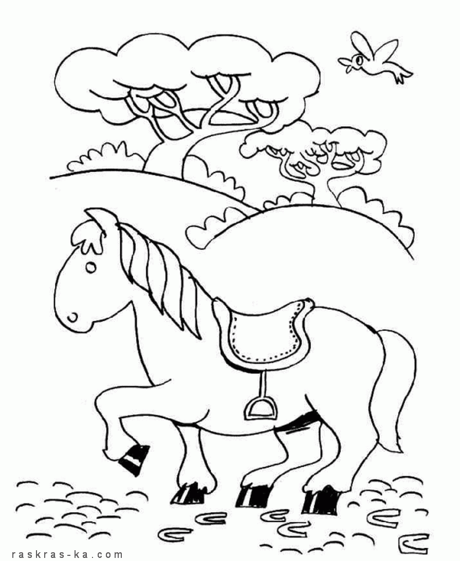 Маленькая лошадка. Раскраска для детей