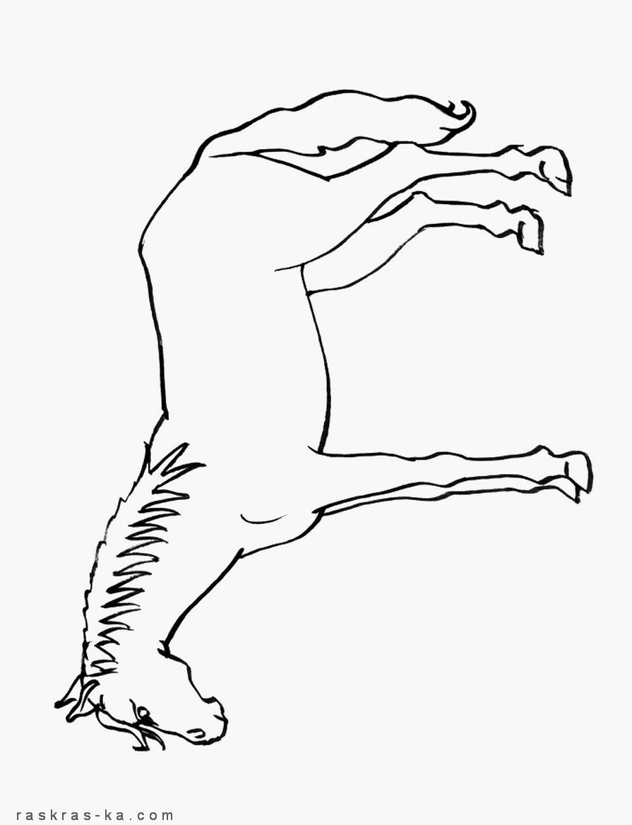 Найти детские раскраски с лошадями