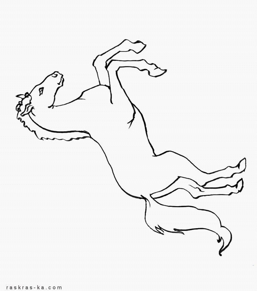 Раскраска год лошади. Скачать бесплатно