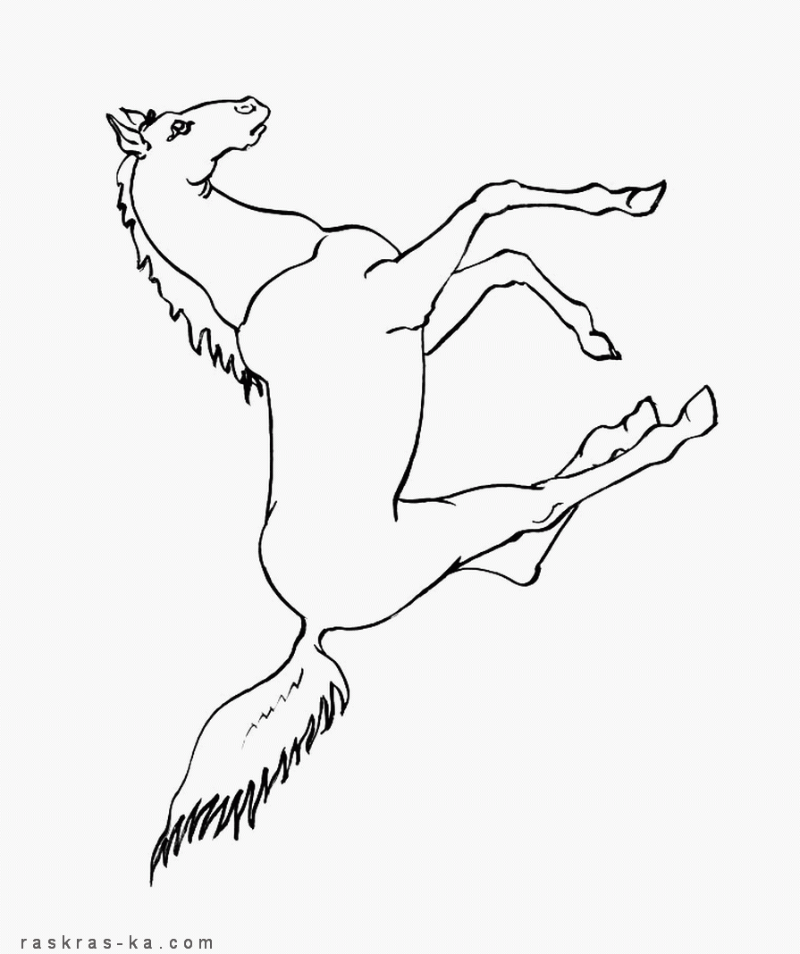 Лошади. Раскраски без регистрации