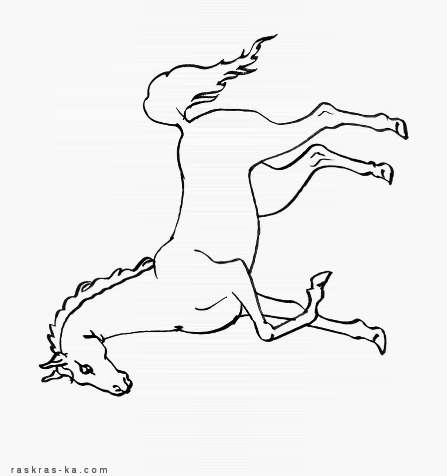 Раскраски коней. Много картинок