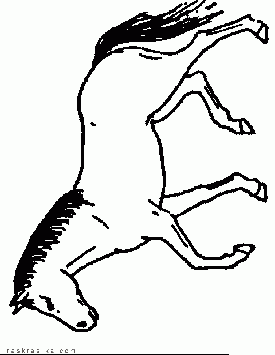 Raskraski loshadi print