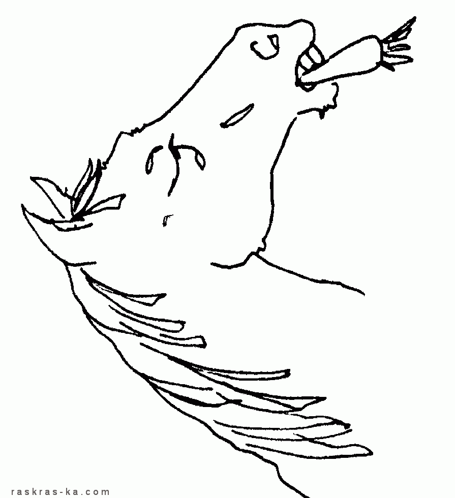 Лошадка с морковкой. Раскрашивать