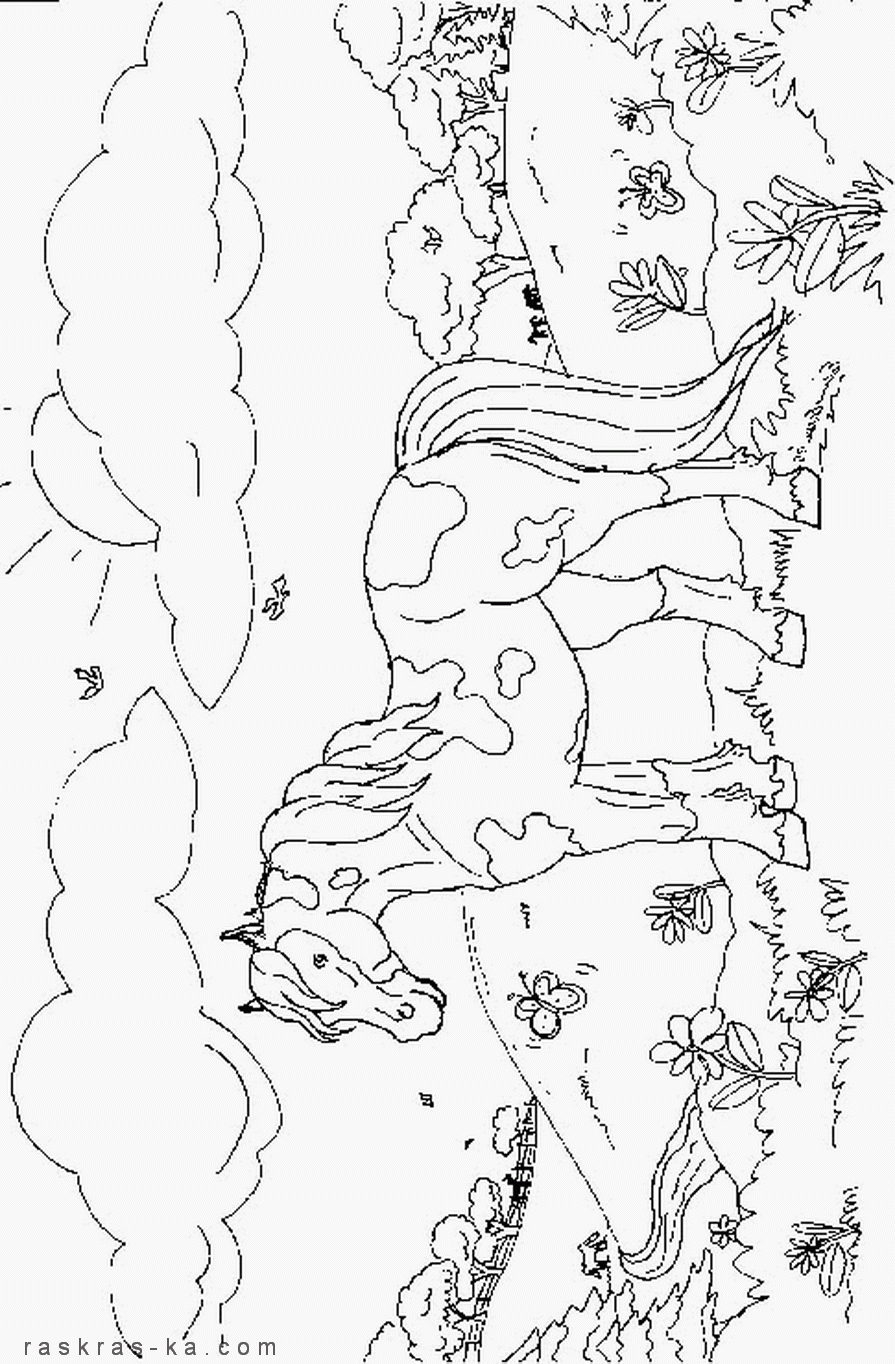 Пятнистая лошадь. Распечатать картинку