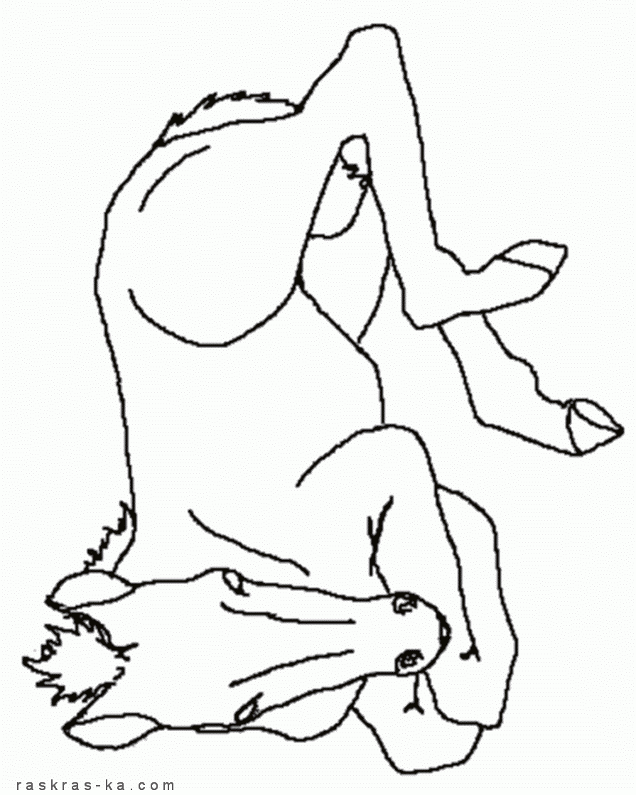 Раскраски лошади - бесплатная печать