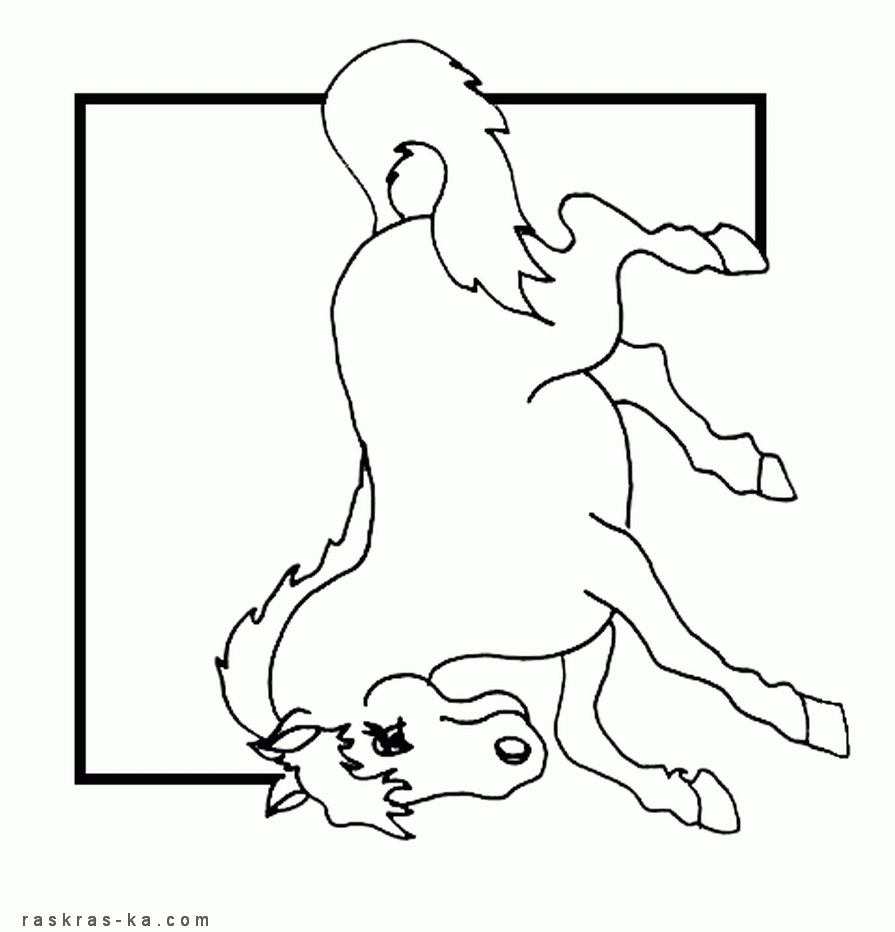 Разукрашивать лошадь бесплатно