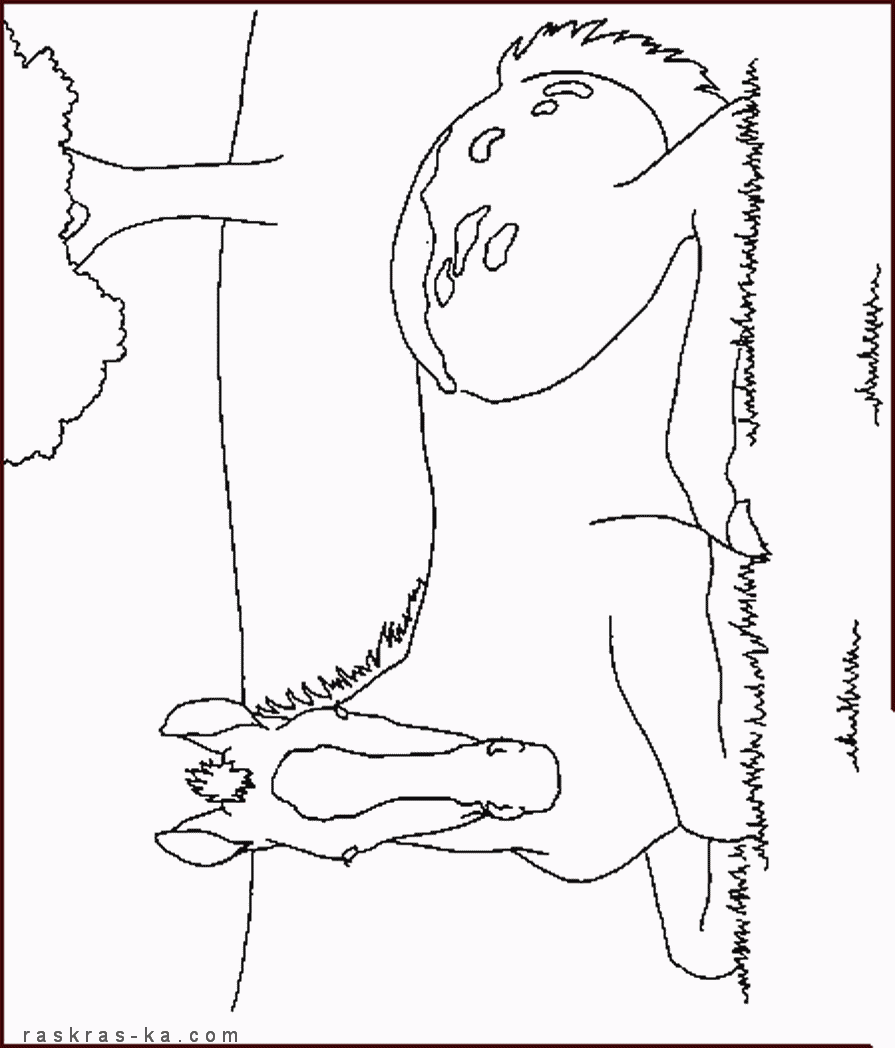 Раскрашки лошади. Домашние животные