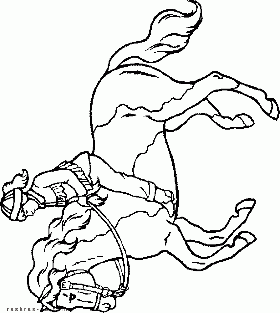 Бесплатные раскраски про животных. Лошади, кони