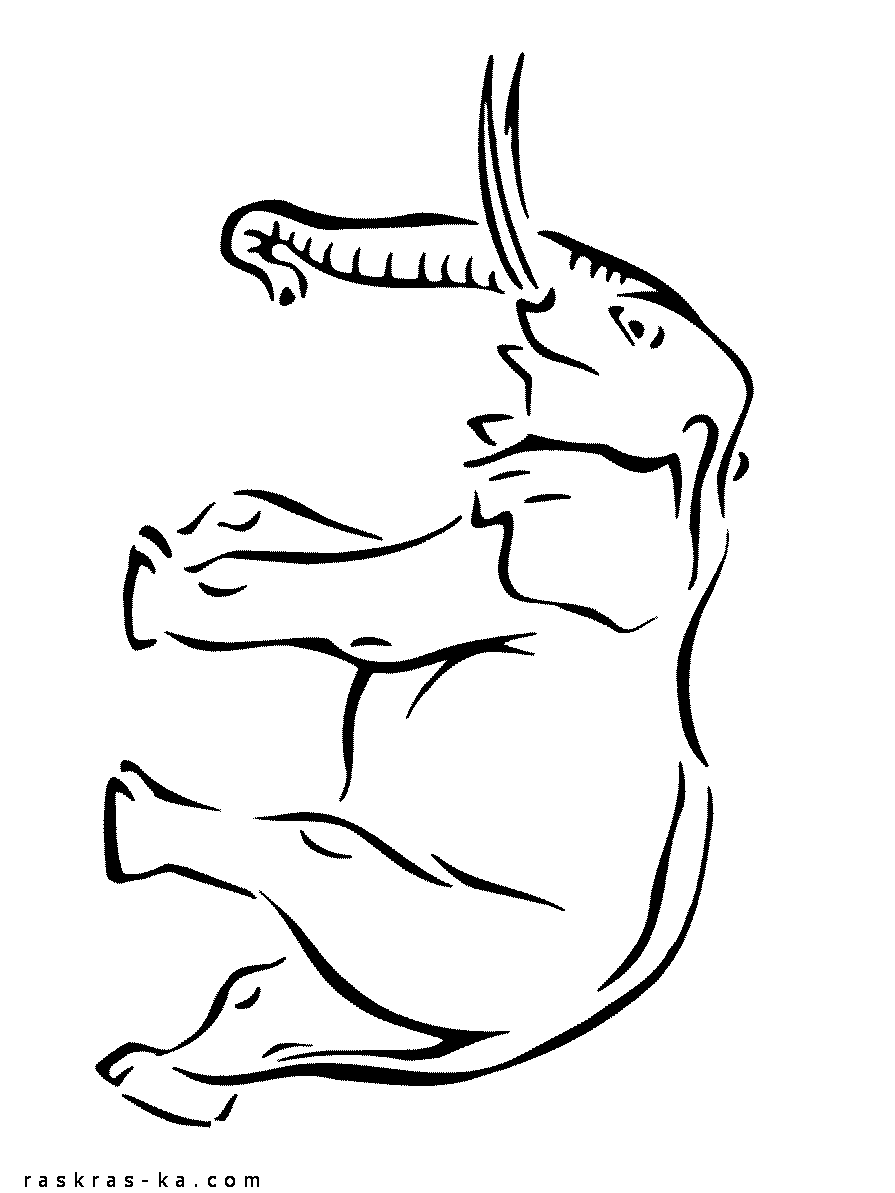 Раскраска слона с большими бивнями. Распечатать