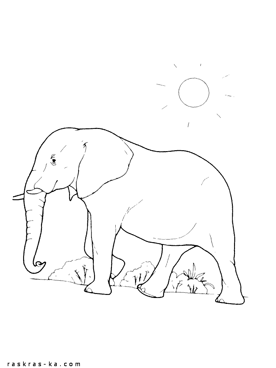 Раскраска детская слон. Рисунок